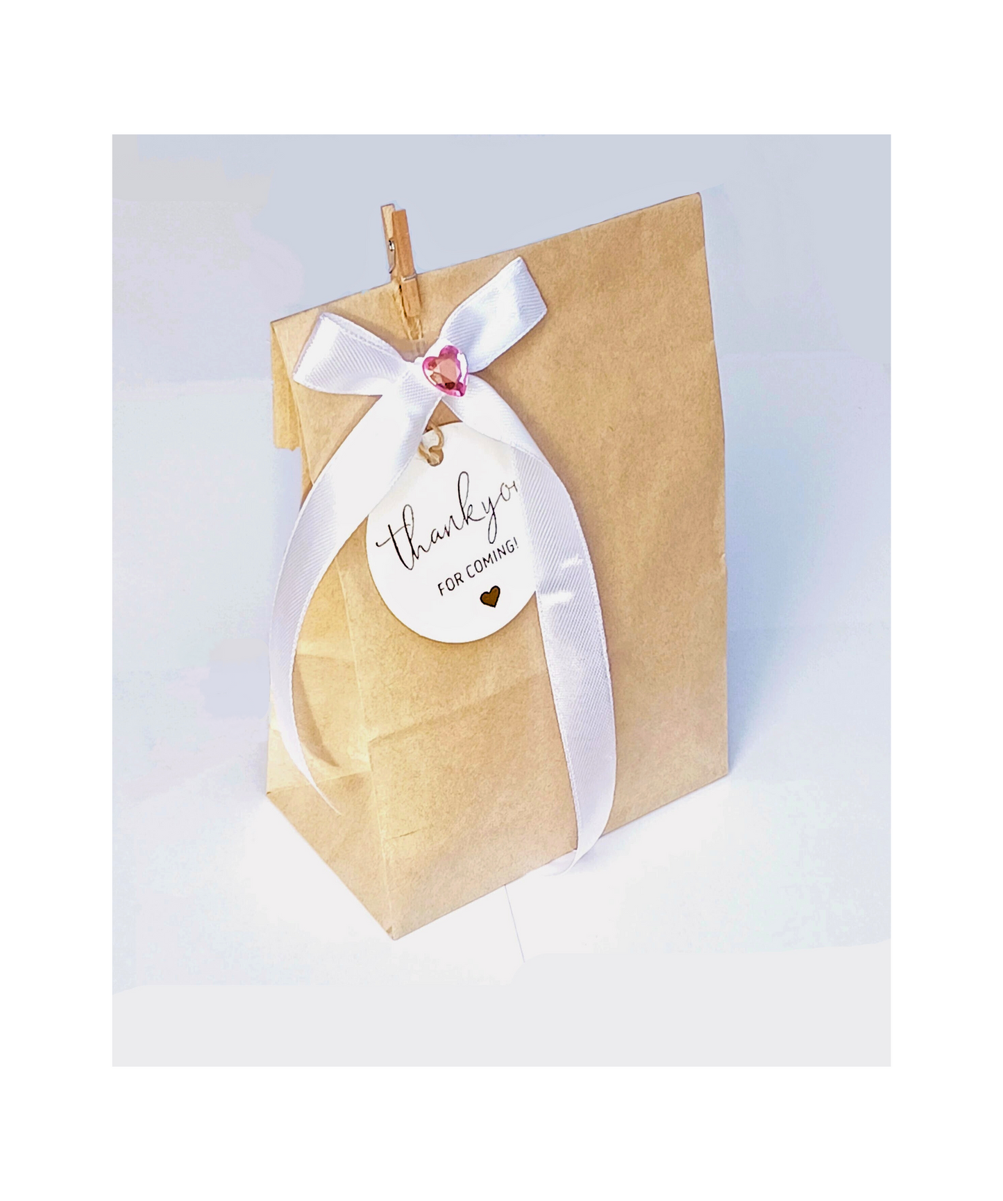 Thank You for Coming Favour Bags